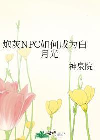 炮灰npc如何成为白月光格格党