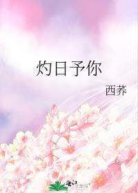 灼日予你西荞笔趣阁
