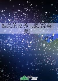 蝙总的家养韦恩综英美txt