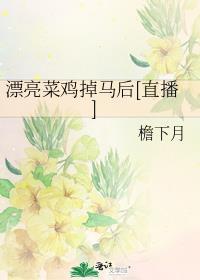 漂亮菜单图片
