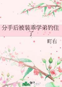 分手后被心机学生钓了原著免费