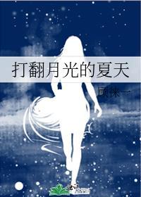 打翻月光的夏天介绍