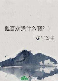 他喜欢是什么意思