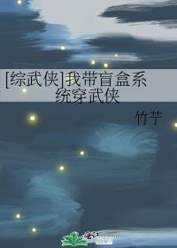 综武侠我带着盲盒穿武侠