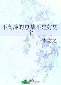 不高冷的总裁不是好男主TXT