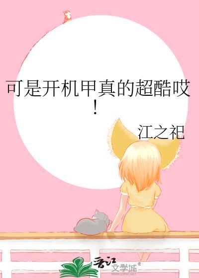 小时候一个开机甲的动画