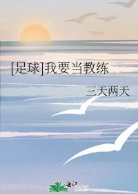 我要当球王txt
