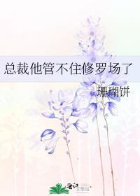 总裁我hold不住了全集阅读