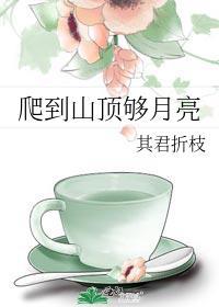 爬到山顶够月亮 其君折枝