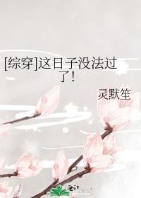 这日子没法过了综红楼txt