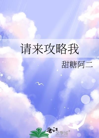 请来攻略我甜糖阿二