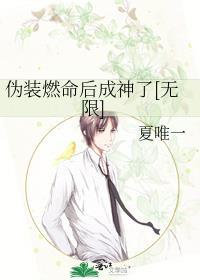 伪装是啥意思啊