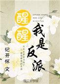 我是反派前