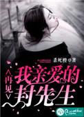 再见亲爱的封先生封