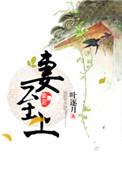 吾妻至上演员