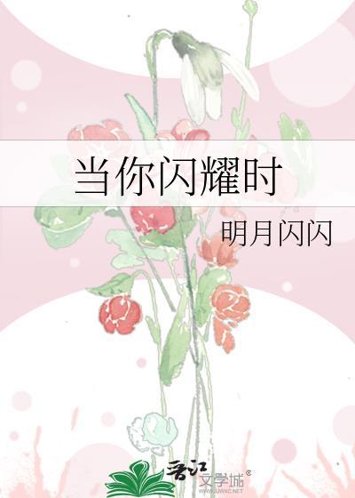 当你闪耀时晋江