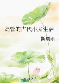高管的古代小厮生活晋江