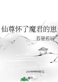 魔尊怀了仙尊的崽后让仙尊当老婆了