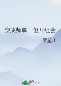 穿成师尊但开组会TXT