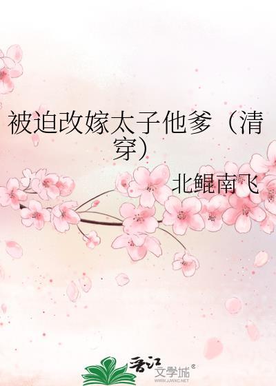 被迫改嫁太子他爹清穿无弹窗