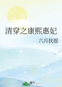 清穿之康熙的妃子