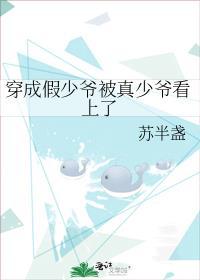 穿成假少爷后被真少爷拐走了文档