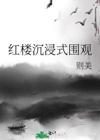 红楼沉浸式围观 笔趣晋江