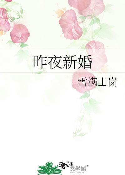 新昨夜星辰的全部演员