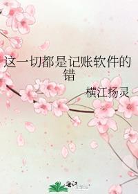 这一切都是记账软件的错全文