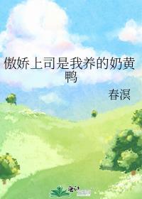 傲娇上司浅规则