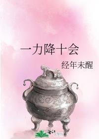一力降十会一剑破万法