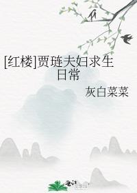 红楼梦贾琏妻子
