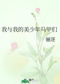 我与我的美少年马甲们百度