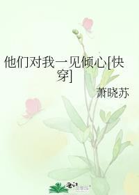 他们都对我一见钟情综影视