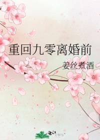 重回九零离婚前书评