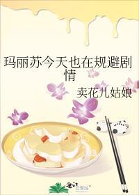 玛丽苏后续