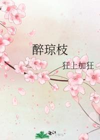 醉琼枝免费阅读