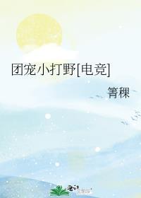 团宠完结文