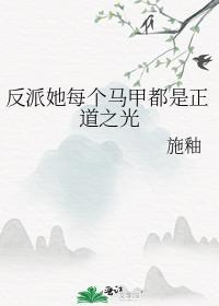 反派她每个马甲都是正道之光施釉
