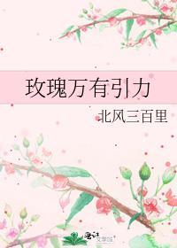 玫瑰引力番外