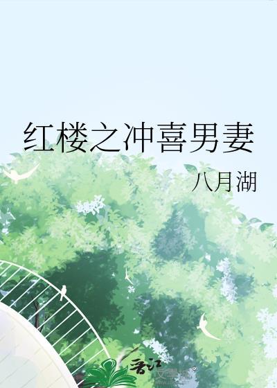 红楼之冲喜男妻全文免费阅读