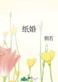 纸婚全文免费阅读