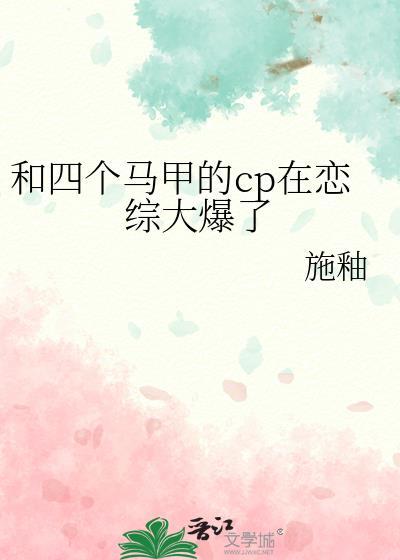 四个马甲是什么意思