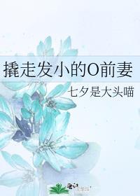 撬走发小的前妻