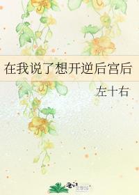 在我说了想开逆后宫后百度