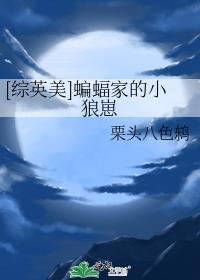 蝙蝠家的崽