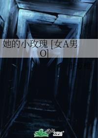 他的小玫瑰番外