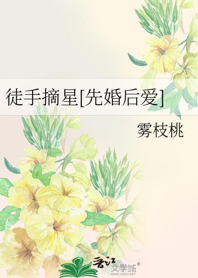 徒手摘星辰笔趣阁