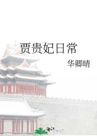 红楼梦里贾贵妃