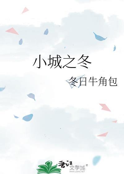小城之冬txt